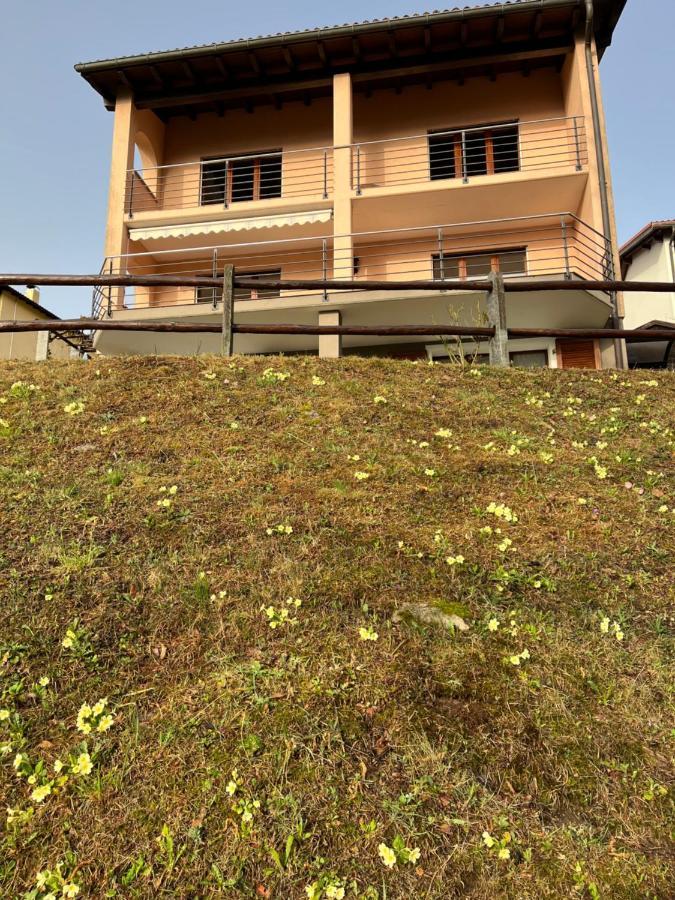 Green View Apartments Tenero-Contra Екстериор снимка